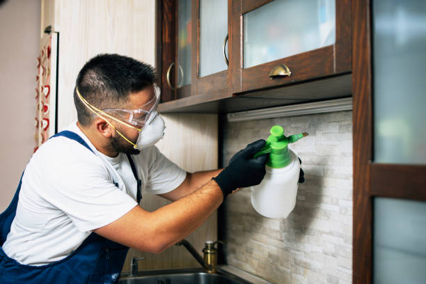 Best Wasp Removal Services  in Winooski, VT