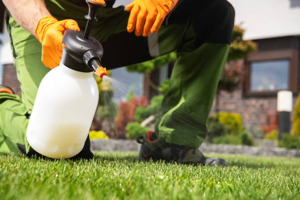 Best Rat Extermination Near Me  in Winooski, VT