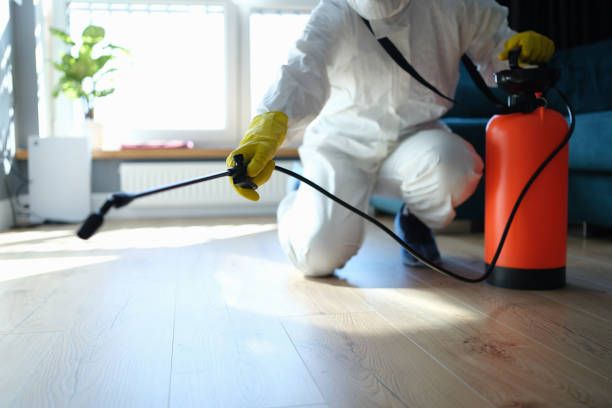 Best Flea Control Services  in Winooski, VT