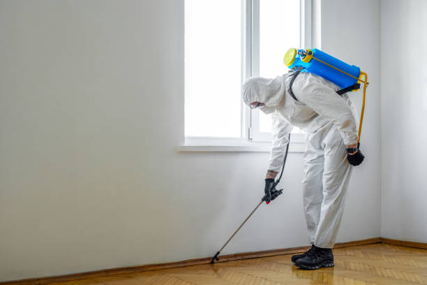 Best Wildlife Control Services  in Winooski, VT