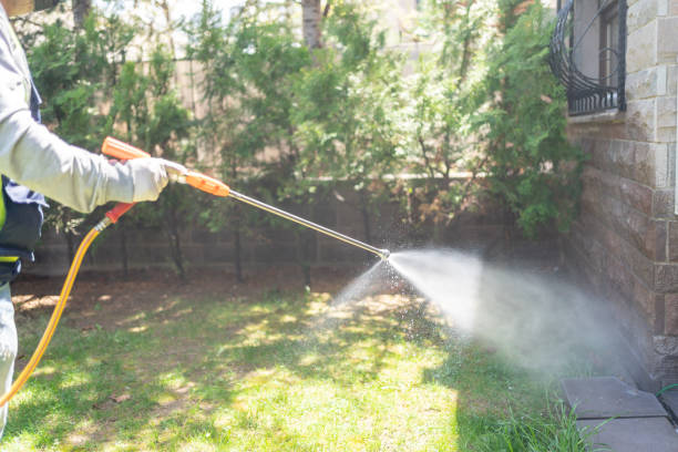Best Pest Removal Services  in Winooski, VT