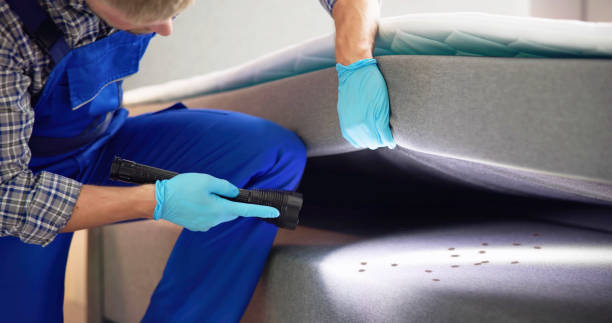 Best Local Pest Control Services  in Winooski, VT