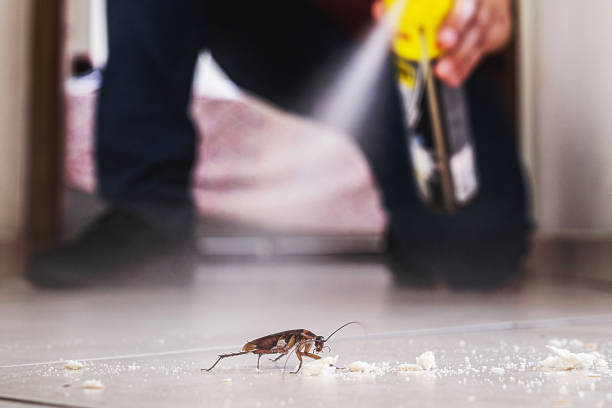 Best Best Pest Control Companies  in Winooski, VT